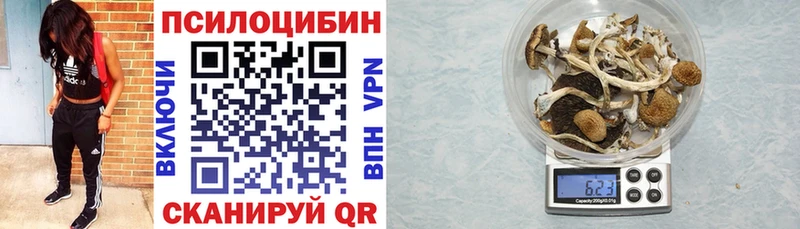 Купить где  Феодосия  Псилоцибиновые грибы GOLDEN TEACHER 